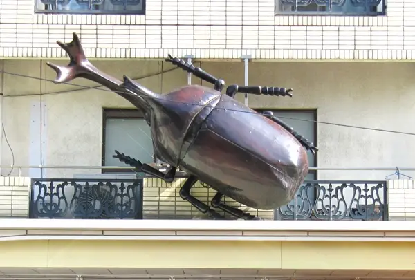 目印のカブトムシ