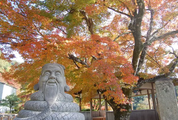 宇賀神