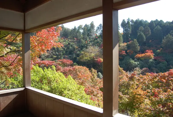 展望台