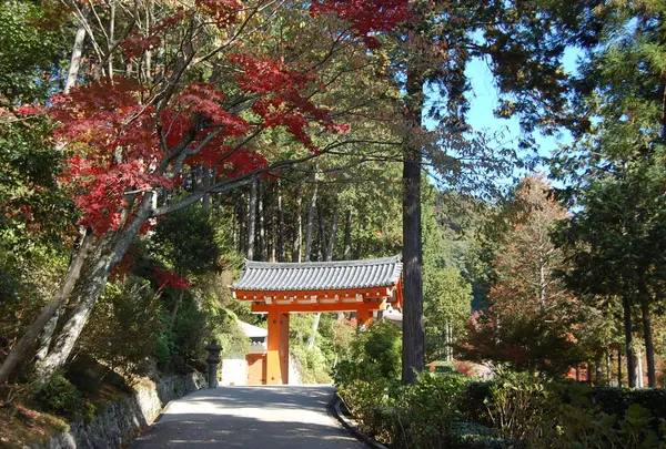 入り口