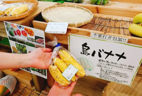 珍しい島バナナ