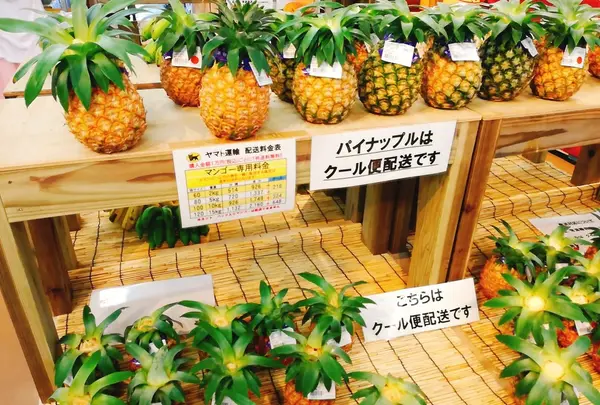 スナックパイン