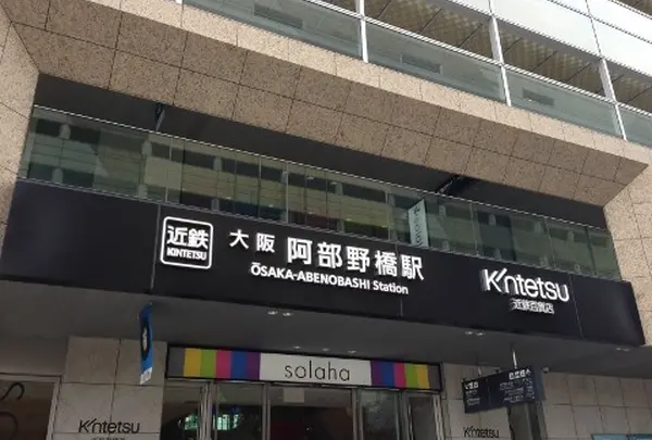 藤井寺市の写真・動画_image_16129