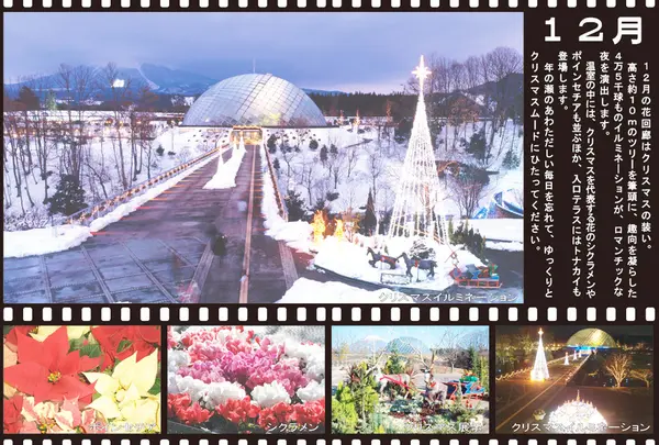 鳥取県立フラワーパークとっとり花回廊の写真・動画_image_16190