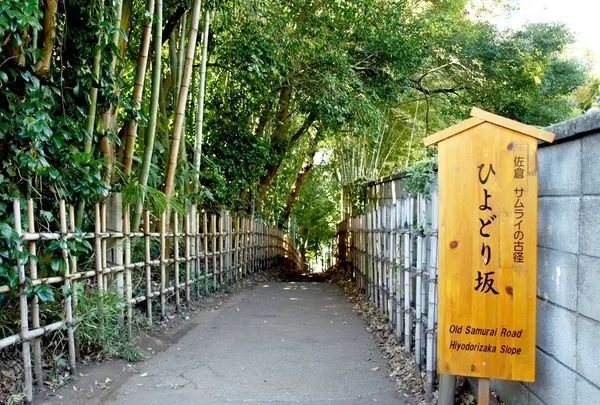 ひよどり坂の写真・動画_image_16198