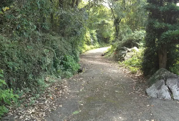 薩摩街道を鹿児島側へ