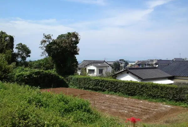 水俣病センター相思社の写真・動画_image_162603