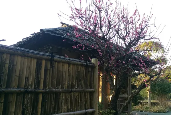 東屋