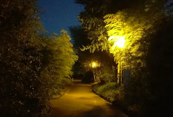 夜間は