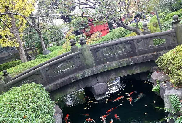 浅草寺の写真・動画_image_168668