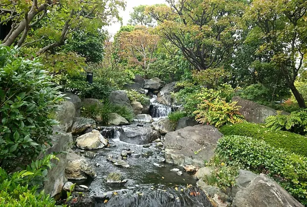 浅草寺の写真・動画_image_168669