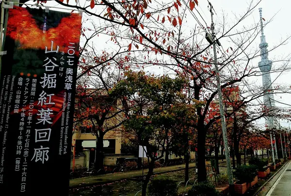 山谷堀紅葉回廊