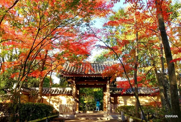 実相院
