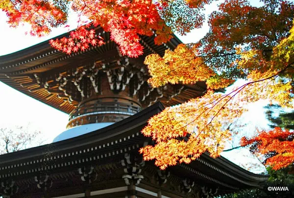 実相院