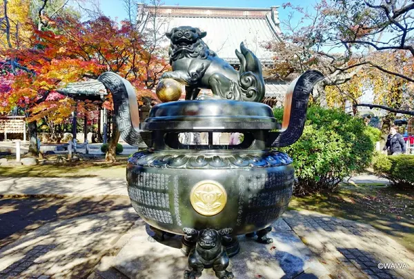 豪徳寺本堂前の香炉