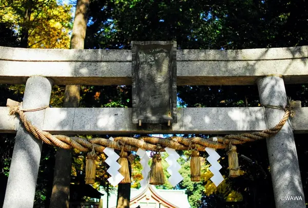 世田谷八幡宮