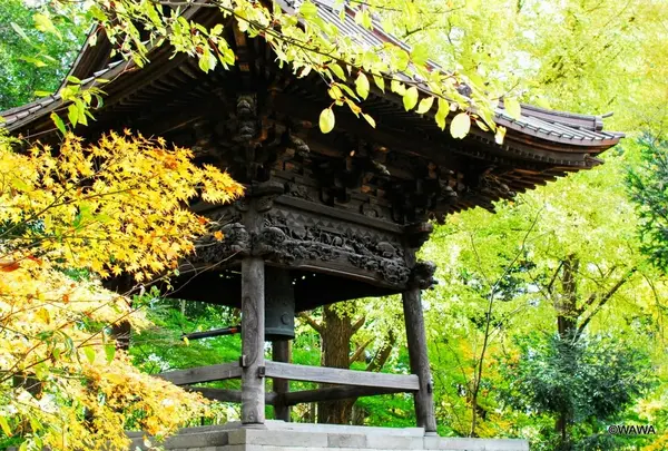 鐘楼 九品仏 浄真寺