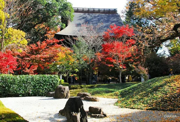 九品仏 浄真寺