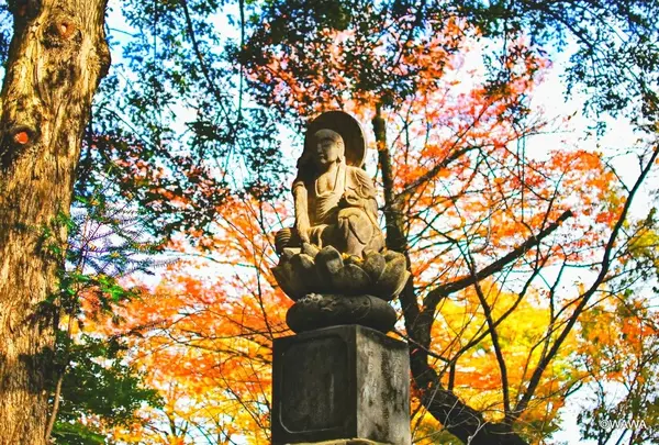 九品山 浄真寺