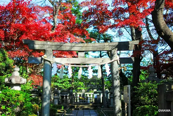 松陰神社