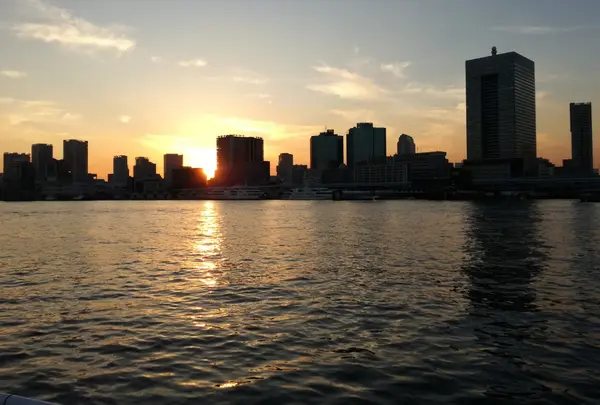 夕暮れに染まるビル群