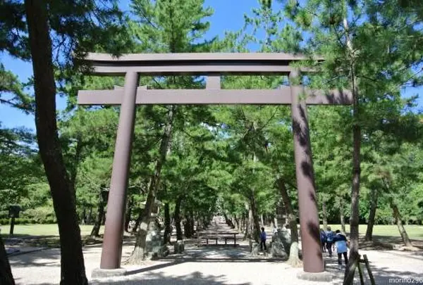 松の参道