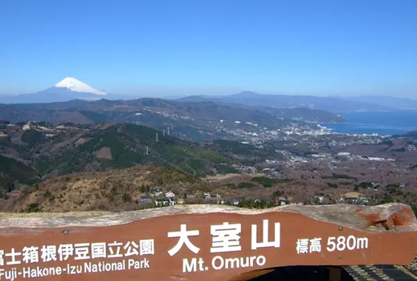 山頂からの眺め