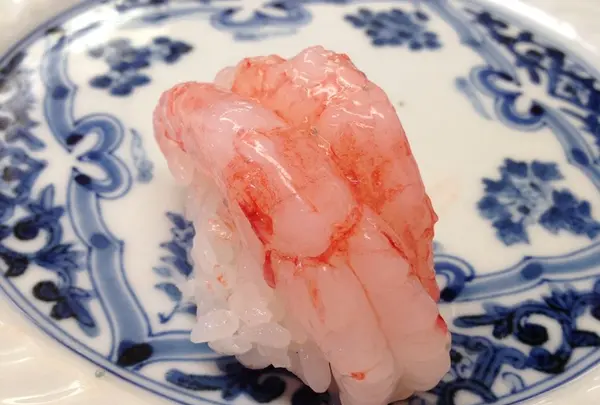 おまかせのお寿司