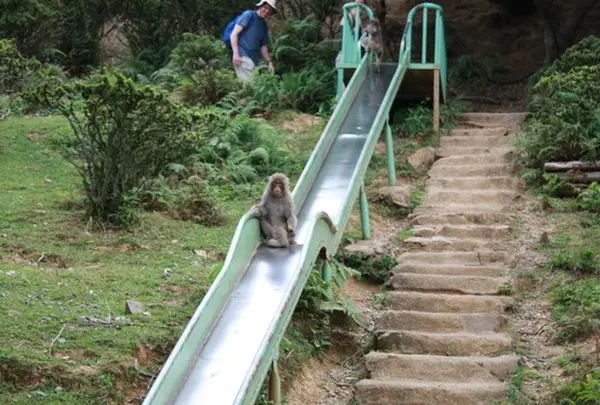 公園