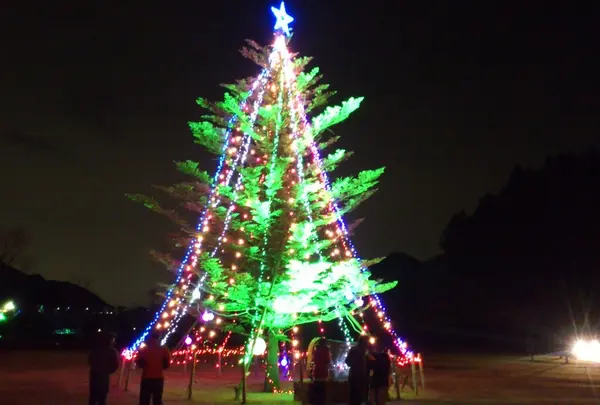 二代目クリスマスツリー！