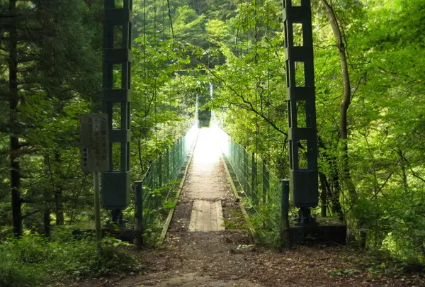 惣岳渓谷の写真・動画_image_1800