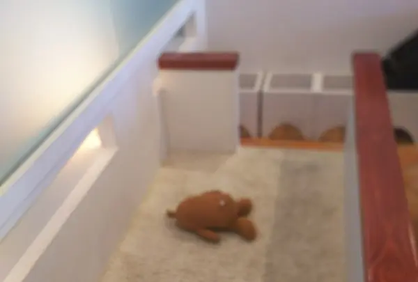 キッズコーナー