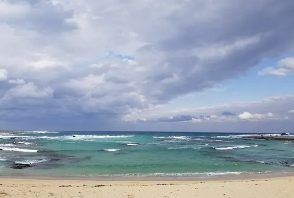 土盛海岸の写真・動画_image_182495