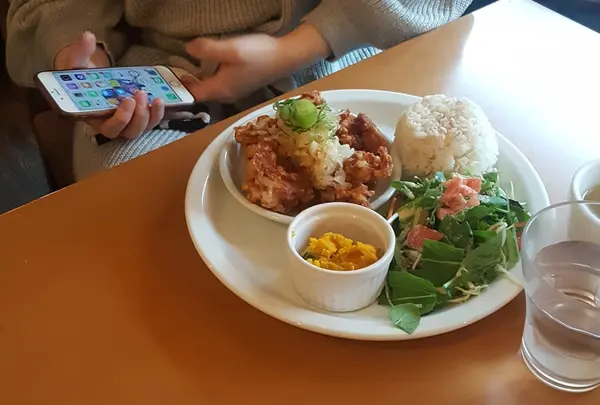 唐揚げポン酢