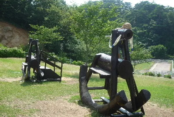 神戸市立六甲山牧場の写真・動画_image_1884