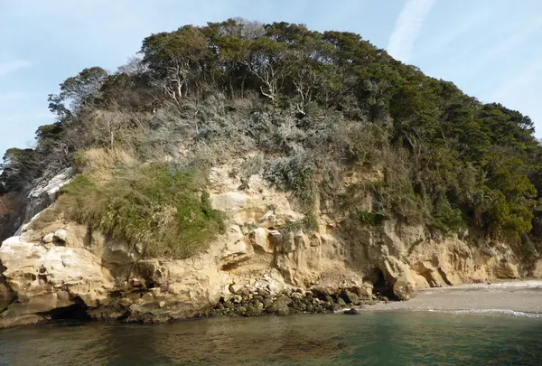 猿島