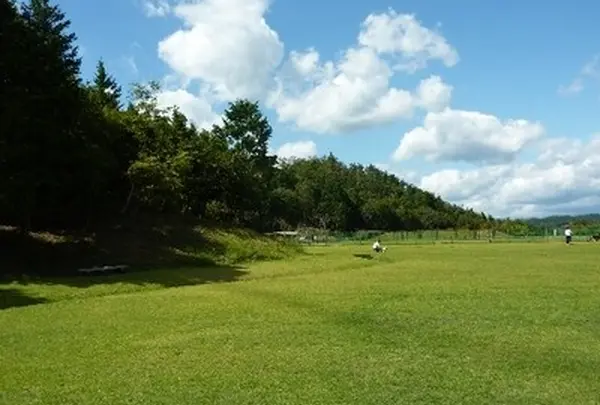 ひよしの森