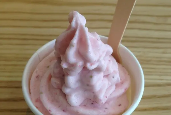 とちおとめ生フローズンヨーグルト