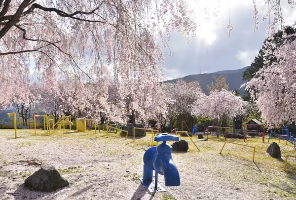 遊具のある公園