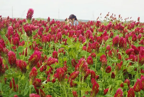埋もれて撮るのがオススメです📷✨