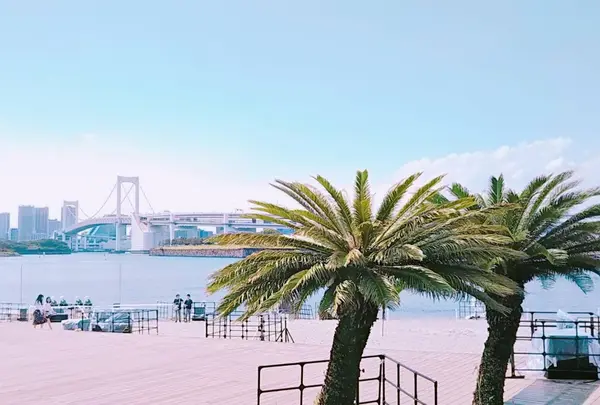 ヤシの実とレインボーブリッジで一気に夏感が出ます！