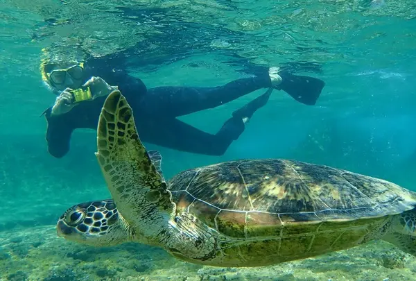 シギラビーチの写真・動画_image_202167