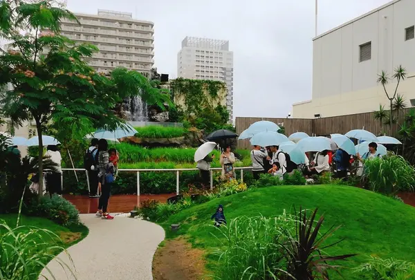 無料貸出し傘があるから雨でも安心