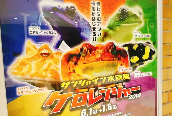 ケロレンジャー特別展実施中！(2018年6.1～7.8まで)