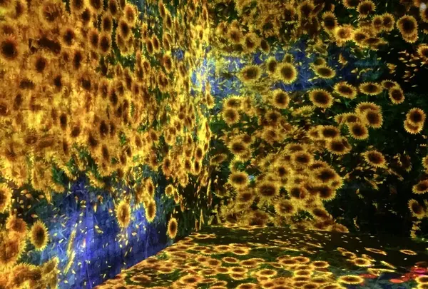 【閉業】森ビルデジタルアートミュージアム：エプソン チームラボボーダレス（MORI Building Digital Art Museum: EPSON teamLab Borderless）の写真・動画_image_205056