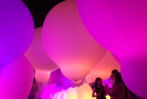【閉業】森ビルデジタルアートミュージアム：エプソン チームラボボーダレス（MORI Building Digital Art Museum: EPSON teamLab Borderless）の写真・動画_image_205089