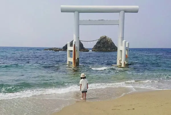 桜井二見ケ浦の写真・動画_image_205844