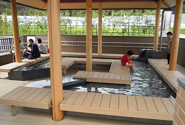 すばしりの写真・動画_image_2090
