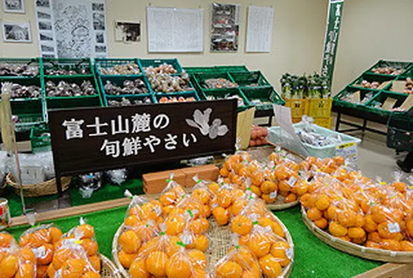 すばしりの写真・動画_image_2091