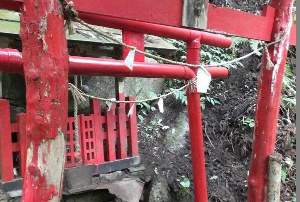 程洞稲荷神社の写真・動画_image_2133